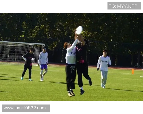 赛后分析：北京飞盘队与南京飞盘队的实力对决与战术较量