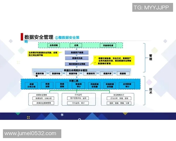加强信息安全防护体系建设推动数字化转型与数据安全协同发展